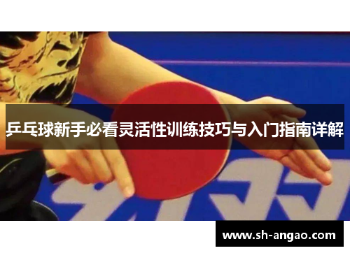 乒乓球新手必看灵活性训练技巧与入门指南详解