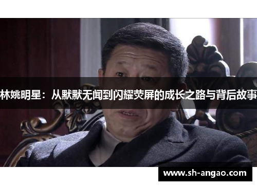 林姚明星：从默默无闻到闪耀荧屏的成长之路与背后故事