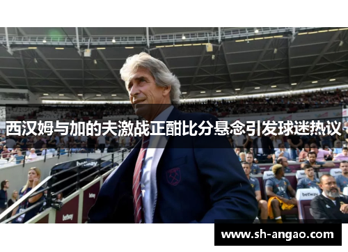 西汉姆与加的夫激战正酣比分悬念引发球迷热议