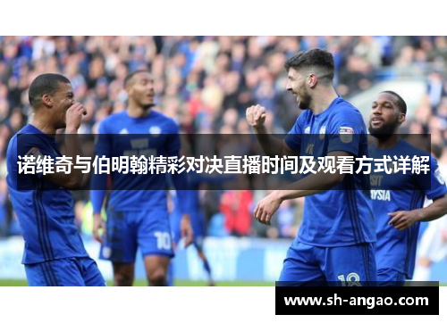 诺维奇与伯明翰精彩对决直播时间及观看方式详解